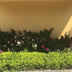 https://cityscape-at-chelsea-manor-new-kingston-studio.comcaribbean.com